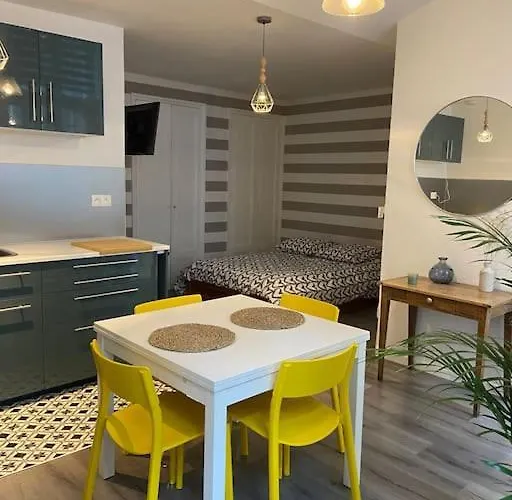 Dole : Studio En Plein Centre, Copropriete Calme